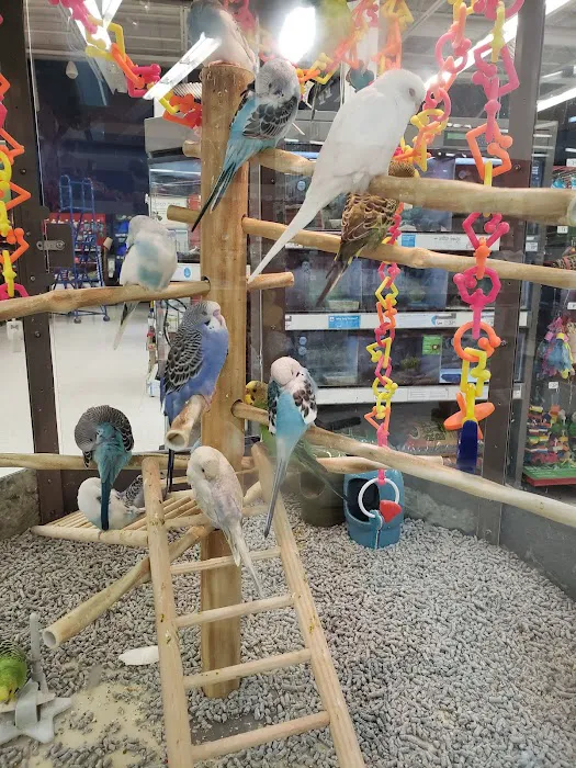 Petco Picture 5