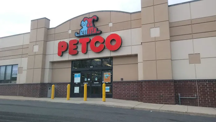 Petco Picture 8