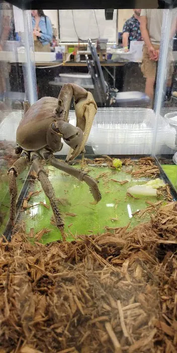 Pittsburgh Mega Reptile Expo Picture 3