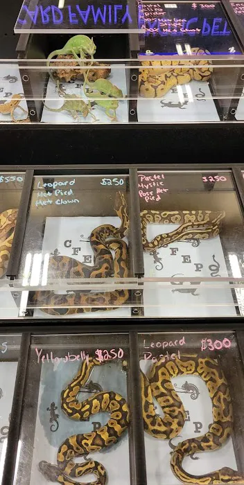 Pittsburgh Mega Reptile Expo Picture 6