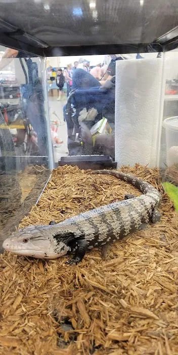 Pittsburgh Mega Reptile Expo Picture 2