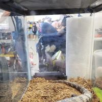 Pittsburgh Mega Reptile Expo ico