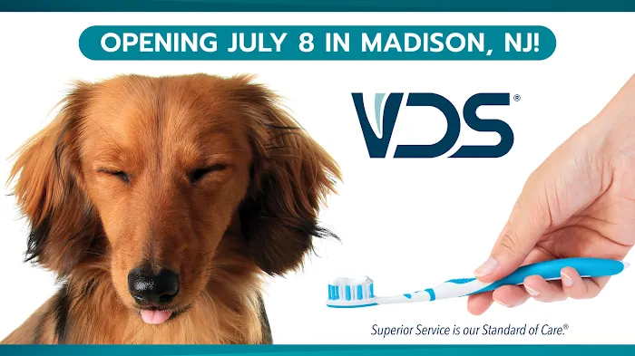 Veterinary Dentistry Specialists Picture 1