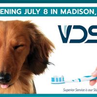 Veterinary Dentistry Specialists ico