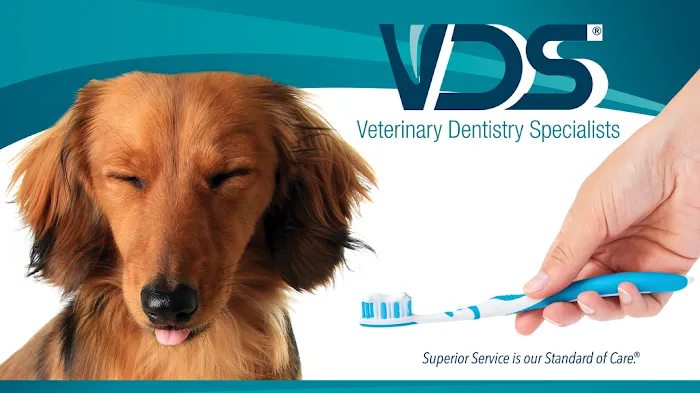 Veterinary Dentistry Specialists Picture 2