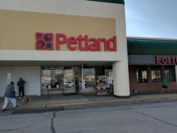 Petland Monroeville Picture 2