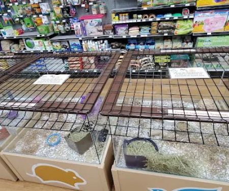 Petland Monroeville