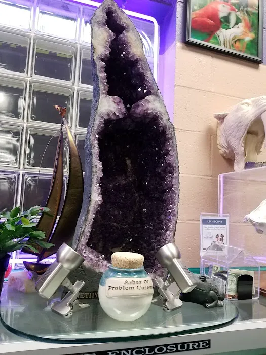 The Enclosure Picture 5