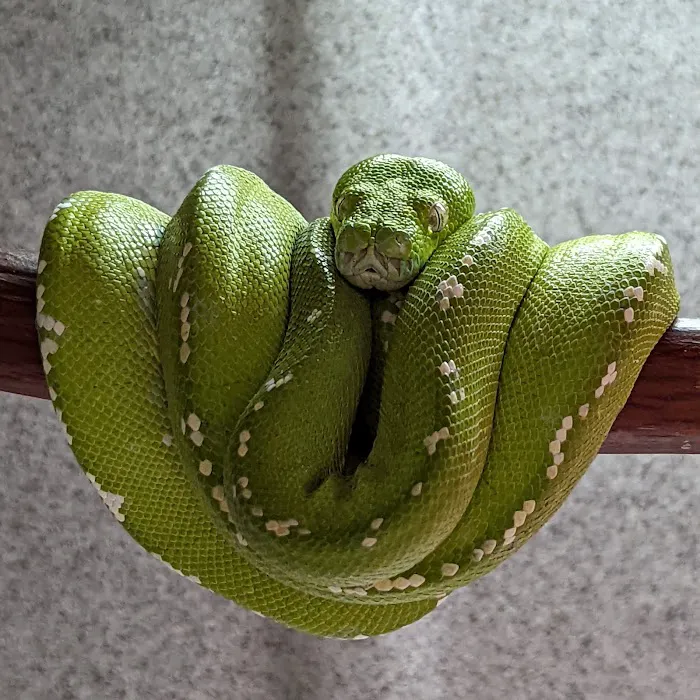 The Enclosure Picture 7