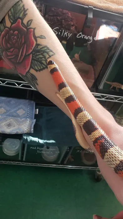 The Enclosure Picture 1