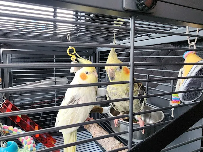 The Enclosure Picture 2