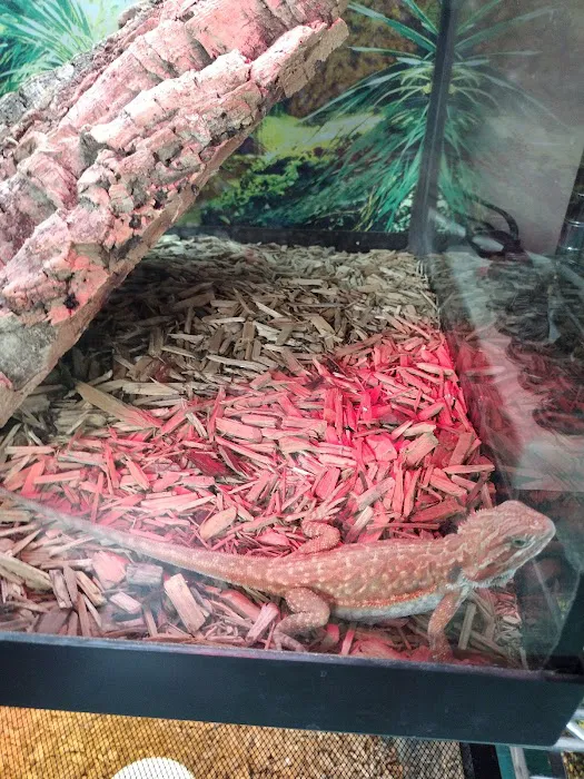 The Enclosure Picture 6