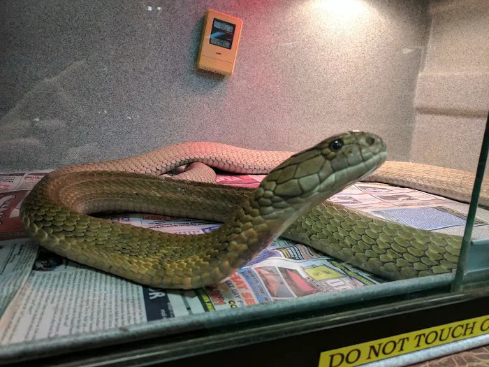 The Enclosure Picture 10