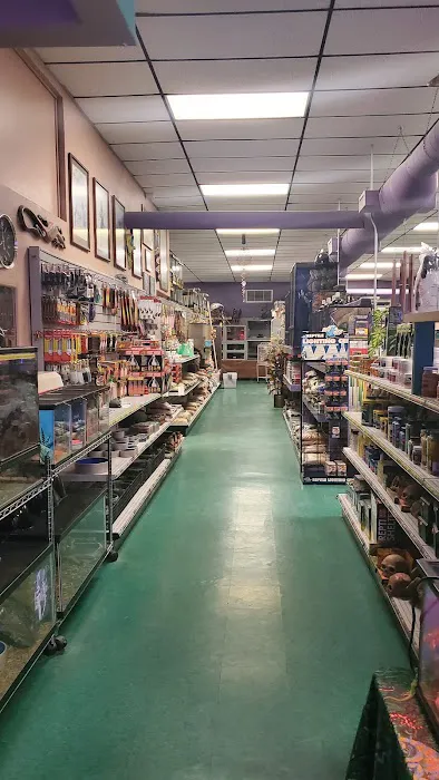 The Enclosure Picture 8