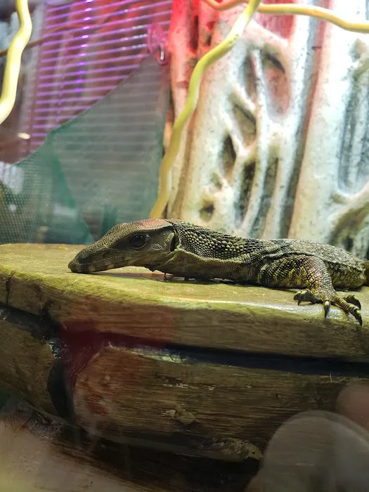 The Enclosure Picture 3