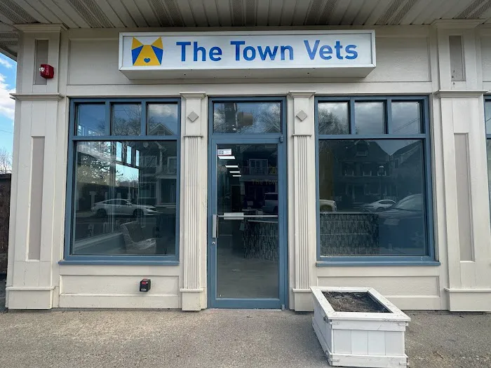 The Town Vets Picture 9