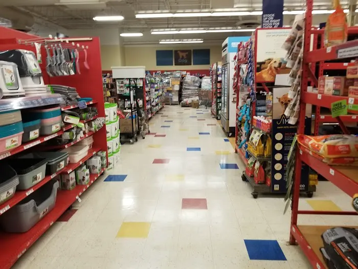 Petco Picture 10