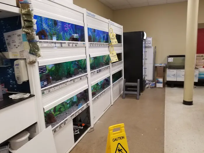 Petco Picture 5