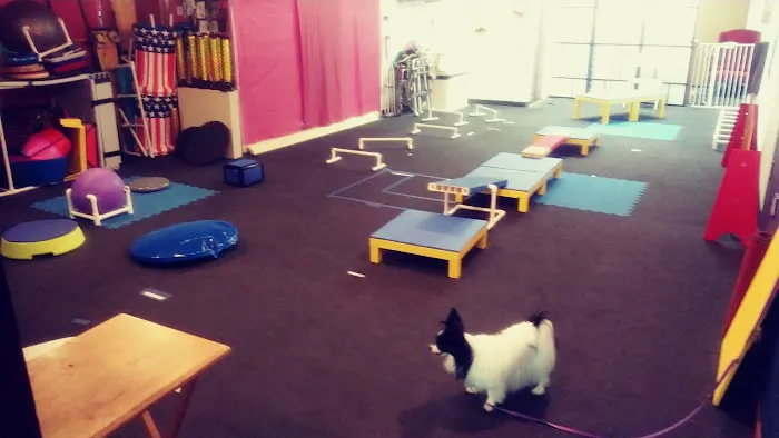 My Little Dog Shoppe Picture 1