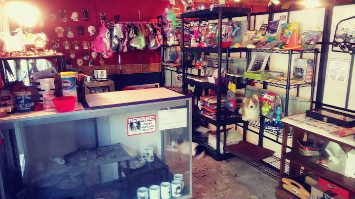 My Little Dog Shoppe Picture 2