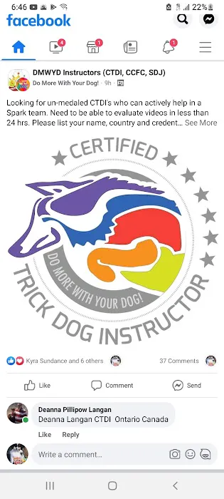 My Little Dog Shoppe Picture 8