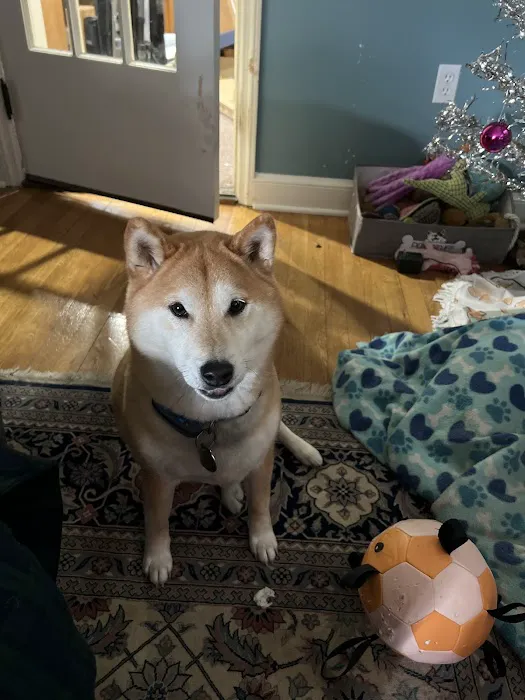 Petagogy Picture 10