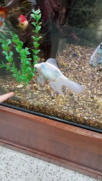 Wet Pets And Friends Picture 7