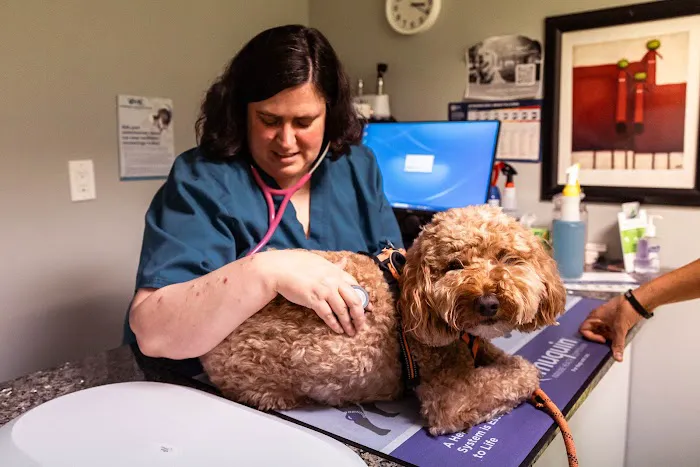 Veterinary Medical Center Picture 6