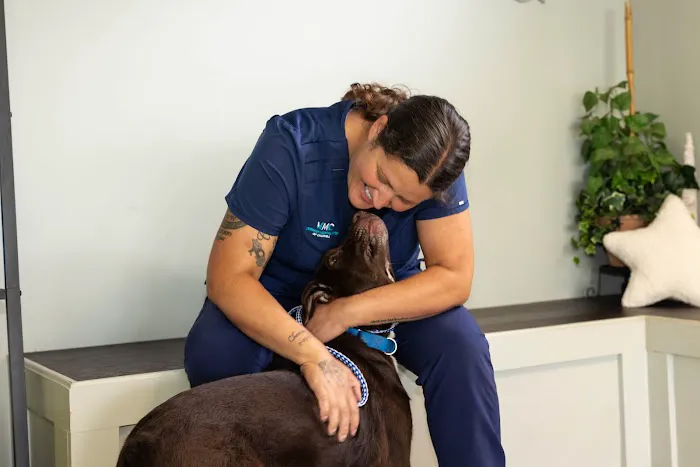 Veterinary Medical Center Picture 9