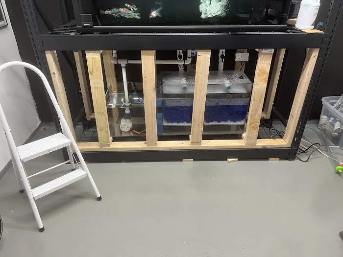 Cole’s Fish Tanks Picture 1