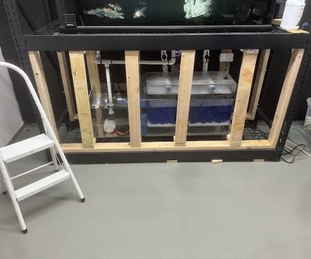 Coleu2019s Fish Tanks