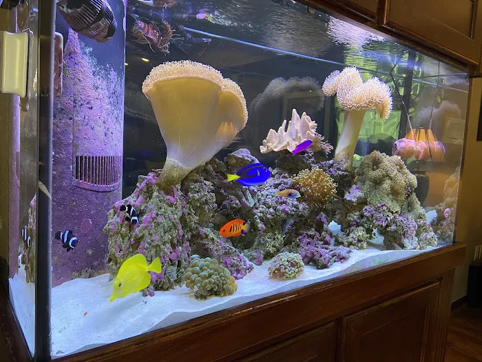 Cole’s Fish Tanks Picture 7