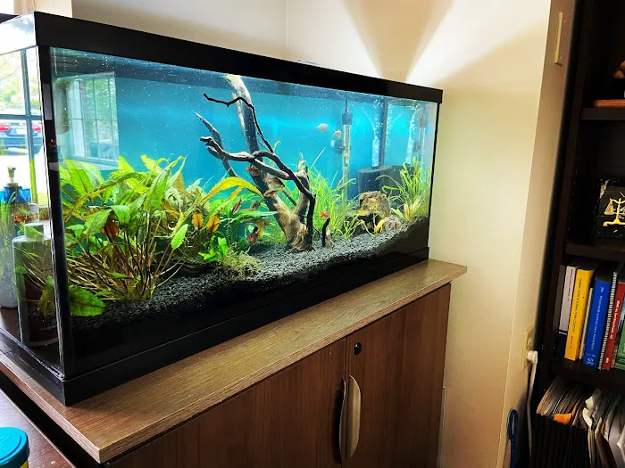 Cole’s Fish Tanks Picture 8