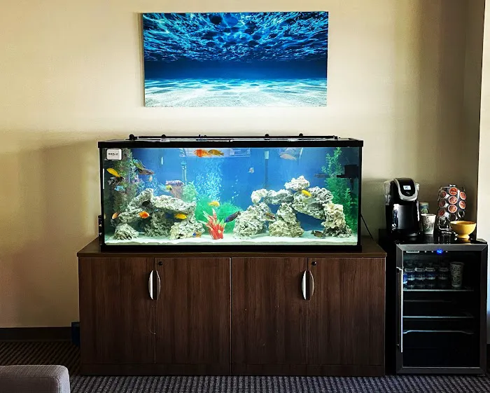 Cole’s Fish Tanks Picture 9