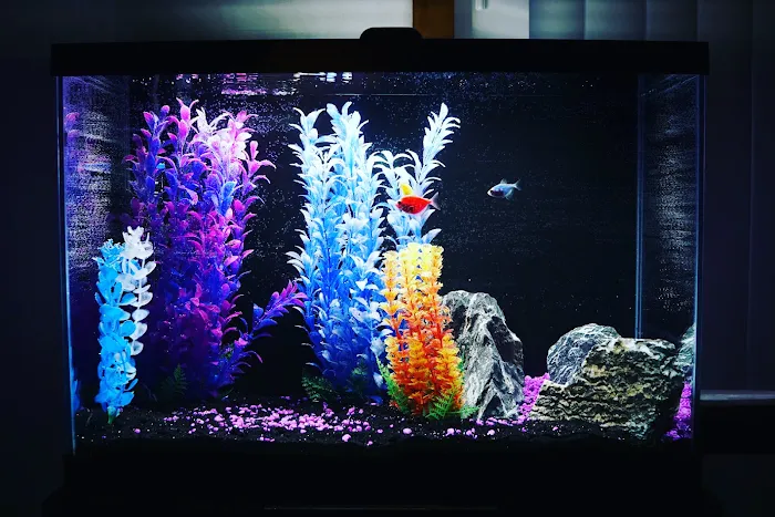 Cole’s Fish Tanks Picture 10