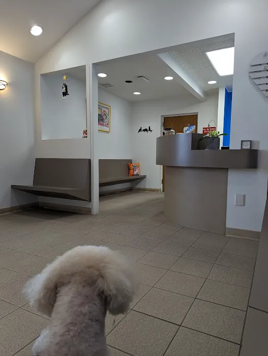 The Gentle Vet Picture 7