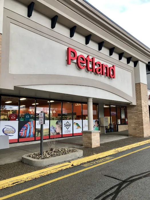 Petland Norwin Picture 1