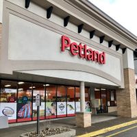 Petland Norwin ico