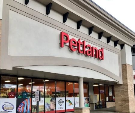 Petland Norwin