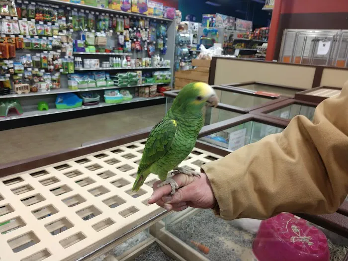Petland Norwin Picture 10