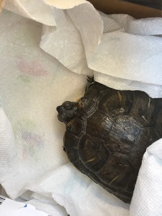 Livingston Animal Hospital Picture 4
