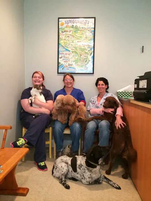 South Bay Veterinary Clinic Picture 7