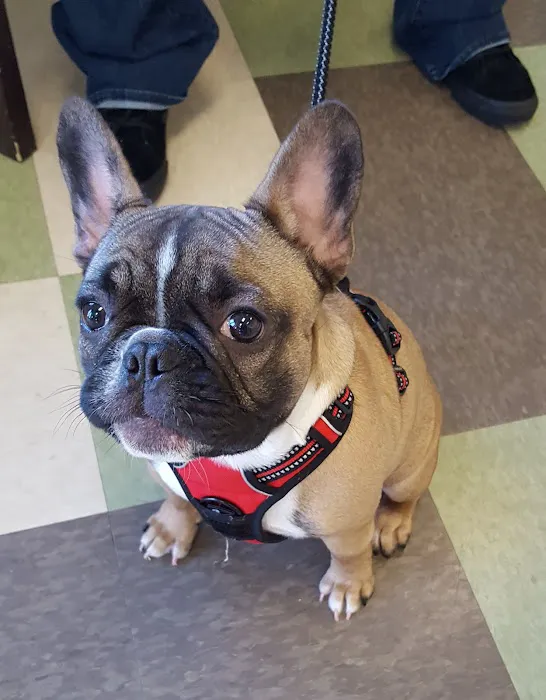 Hill & Harbour Veterinary Center Picture 1