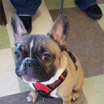 Hill & Harbour Veterinary Center