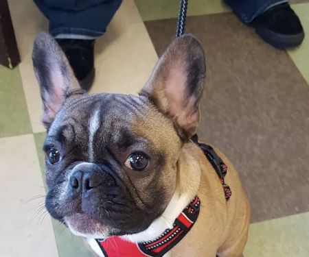 Hill & Harbour Veterinary Center