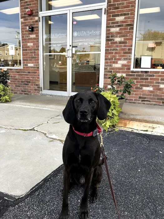 Hill & Harbour Veterinary Center Picture 6