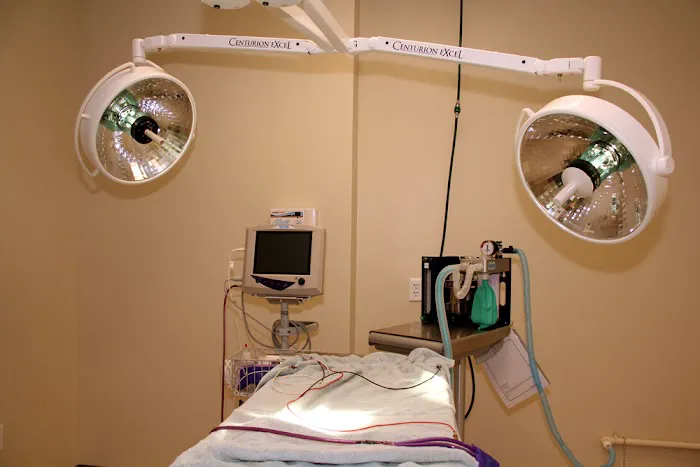 Hill & Harbour Veterinary Center Picture 3