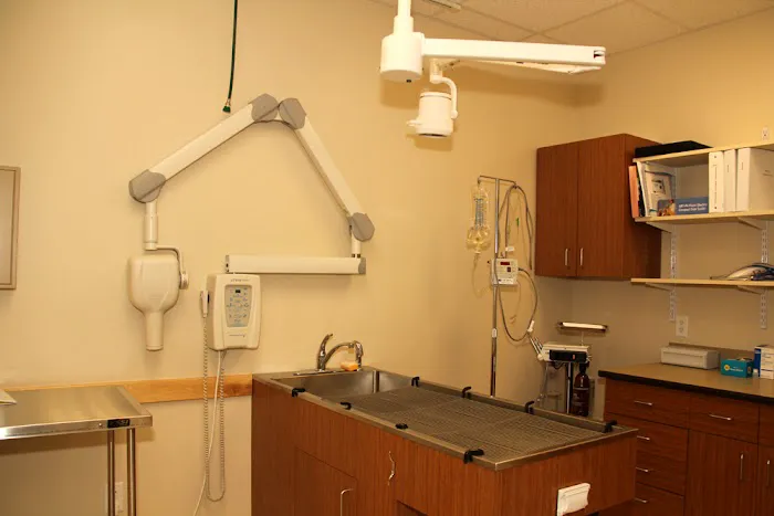 Hill & Harbour Veterinary Center Picture 5