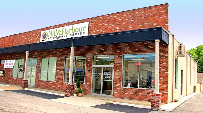 Hill & Harbour Veterinary Center Picture 7