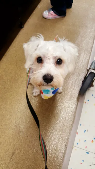 Petco Picture 2